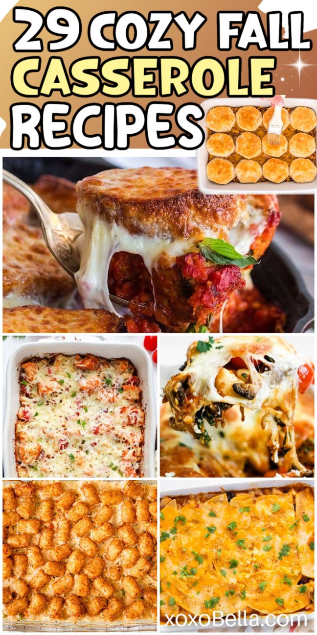 An array of casseroles in baking dishes with golden tops, served with spoons and simple garnishes.