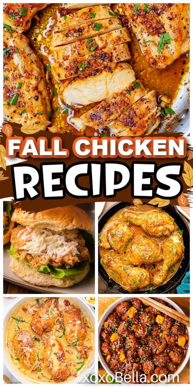 A mix of chicken dishes with fall ingredients like herbs, vegetables and sauces served on plates and in skillets.