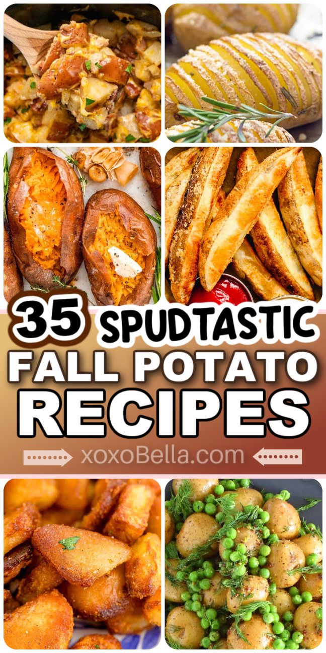 Assorted potato dishes including mashed, roasted and baked varieties served in bowls and skillets.