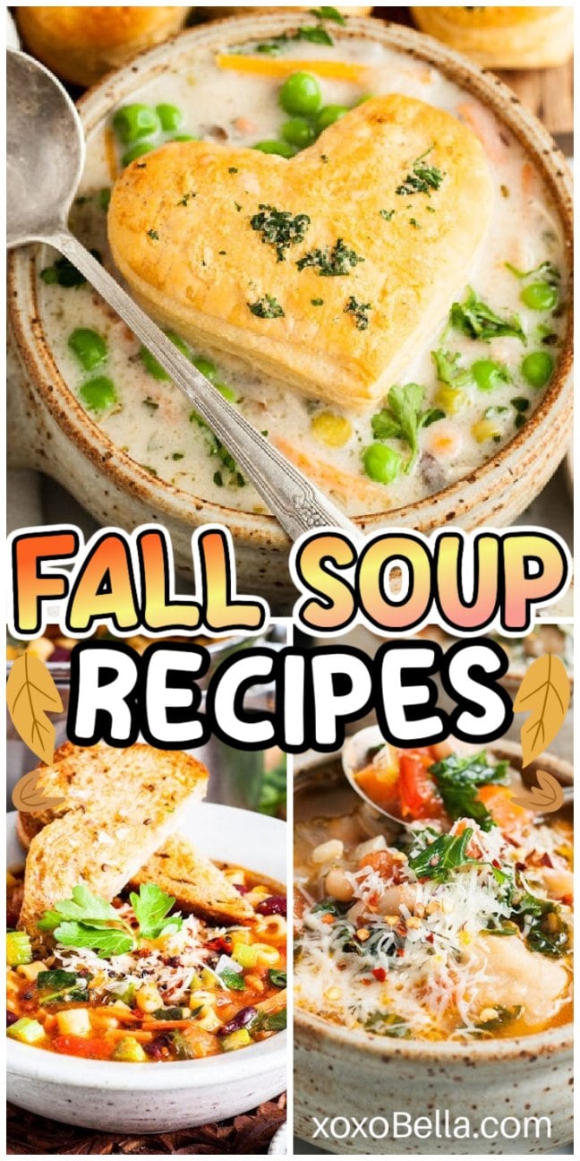 Various bowls of fall soups and stews garnished with herbs and served with bread.