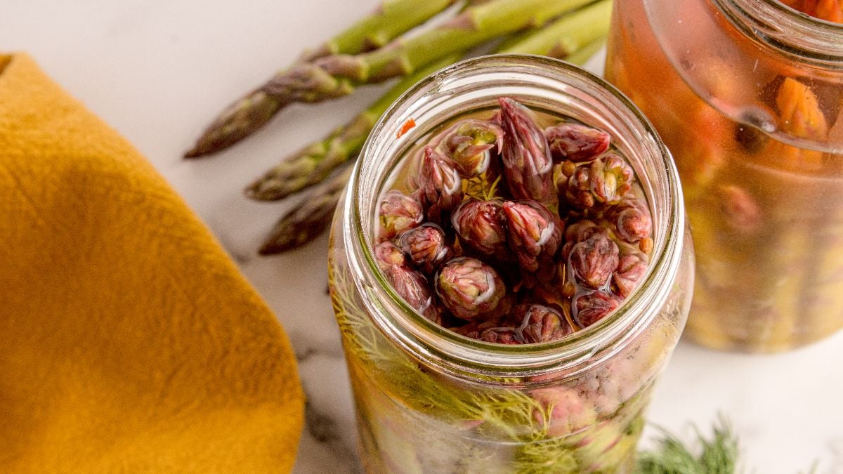 Pickled Asparagus - xoxoBella