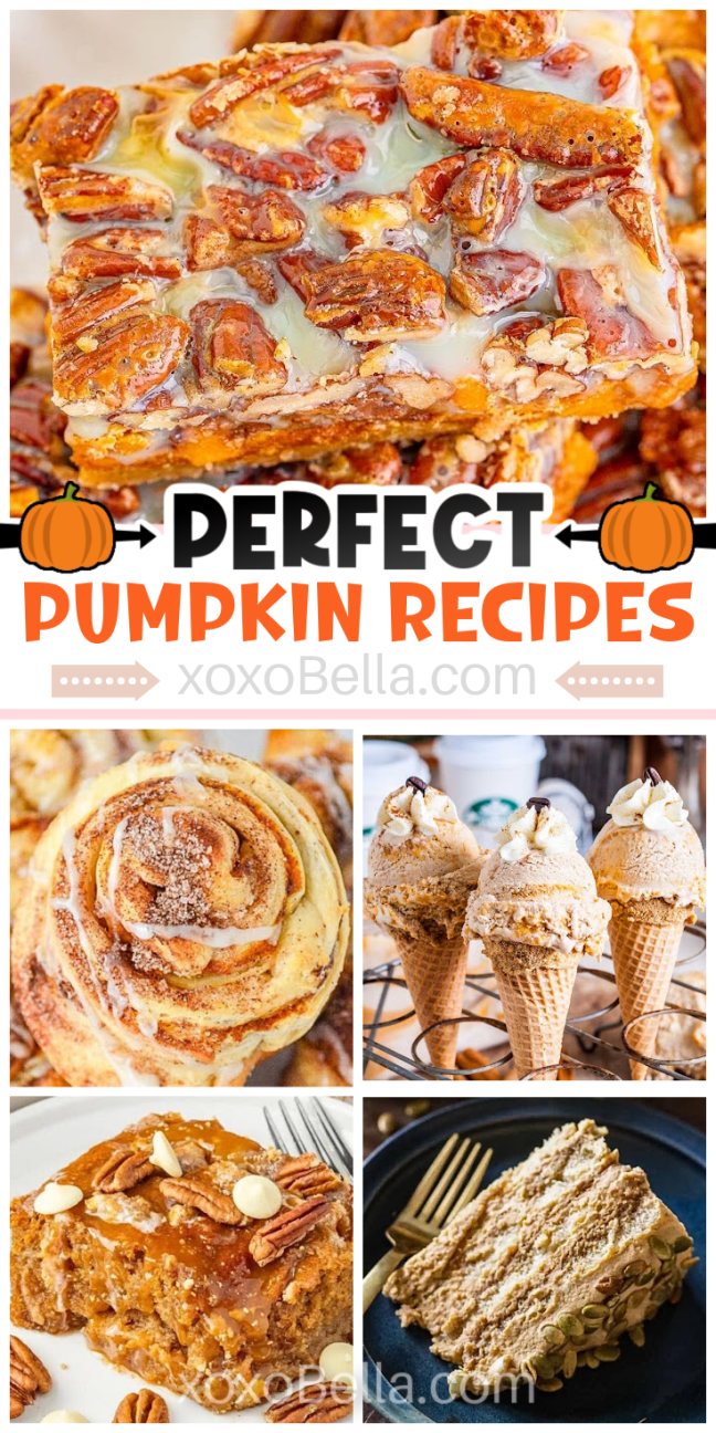 A variety of pumpkin-based dishes including soups, pastries, ice cream and baked goods, arranged on plates and bowls.