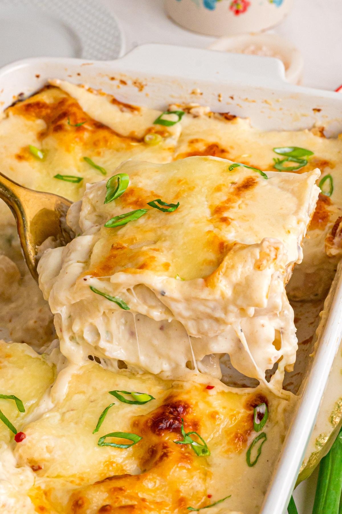 Cheesy, creamy white chicken lasagna topped with melted cheese and sliced green onions in a white baking dish.
