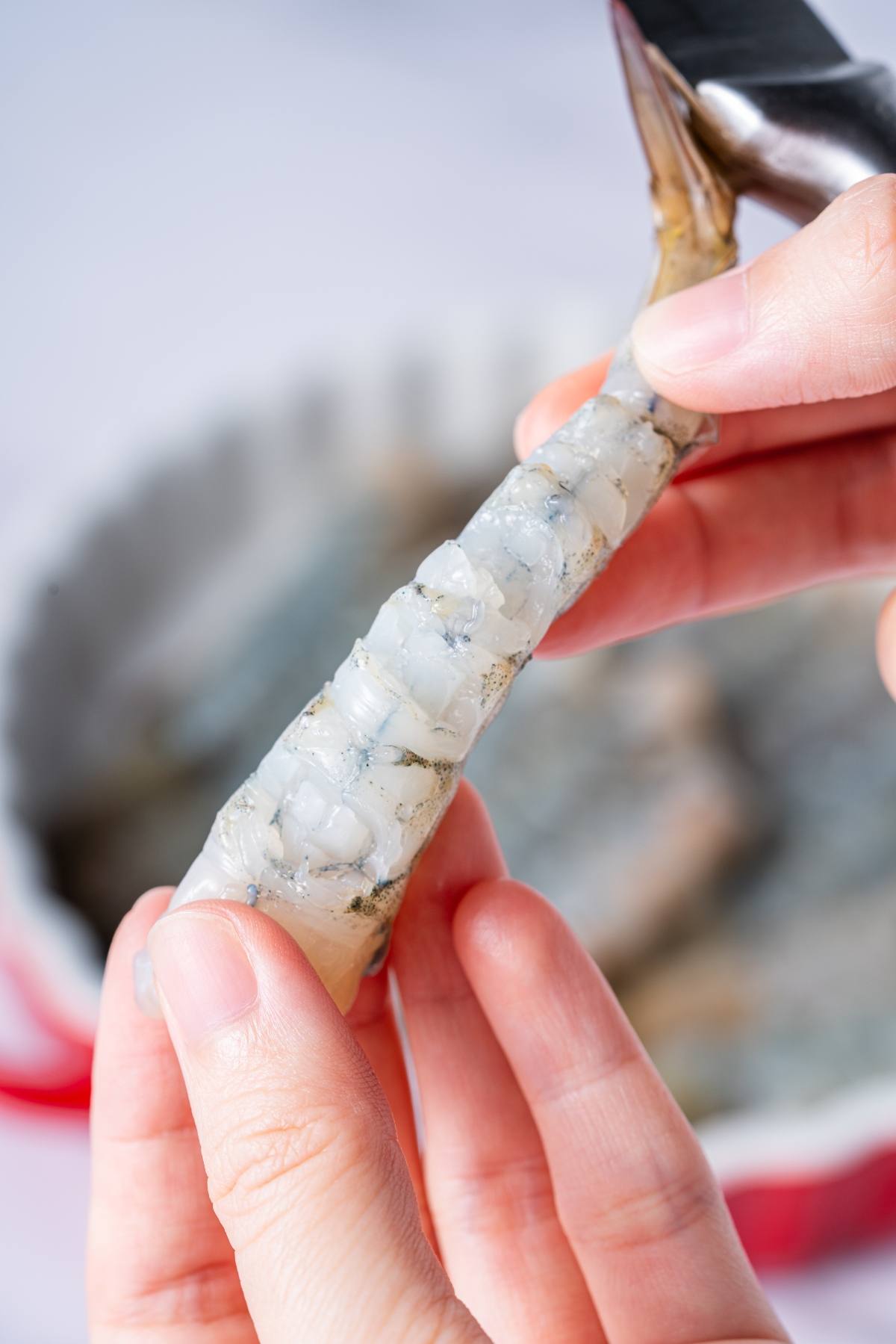 Close-up of hands deveining a raw shrimp with a knife.
