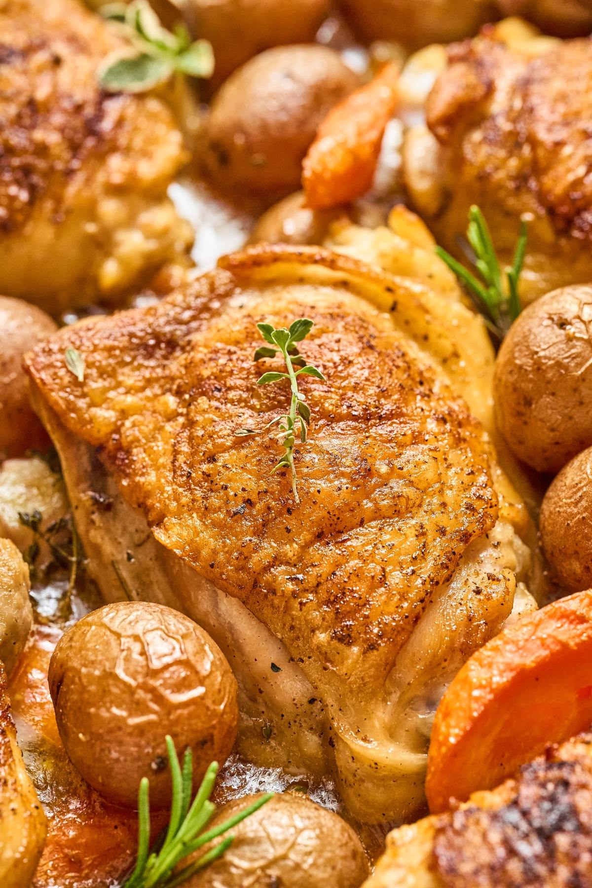 Golden roasted chicken thighs with crispy skin, baby potatoes, carrots, and fresh herbs on a baking sheet.