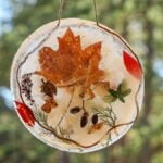 DIY Ice Suncatchers: Round ice suncatcher with leaves, berries, and twigs inside, hanging outdoors against blurred green trees.
