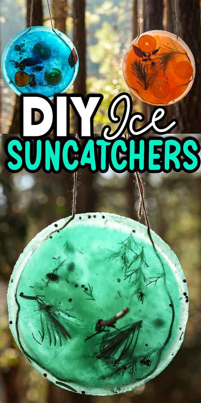 Three colorful DIY Ice Suncatchers with leaves and berries hang from strings in a sunlit forest.