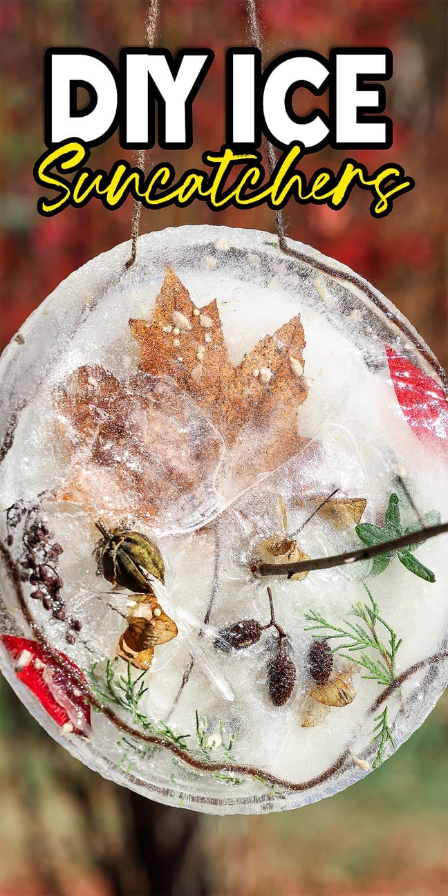 DIY Ice Suncatchers: Round ice suncatcher with leaves, seeds, and greenery frozen inside, hanging outdoors with a blurred background.