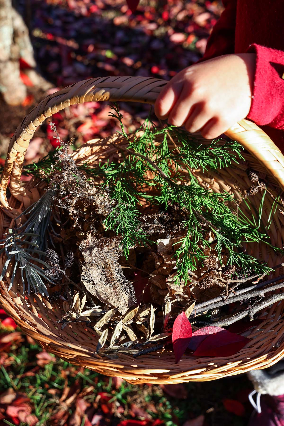 A child’s hand holds a basket filled with leaves, twigs, and plant clippings—perfect natural treasures for making DIY Ice Suncatchers outdoors.