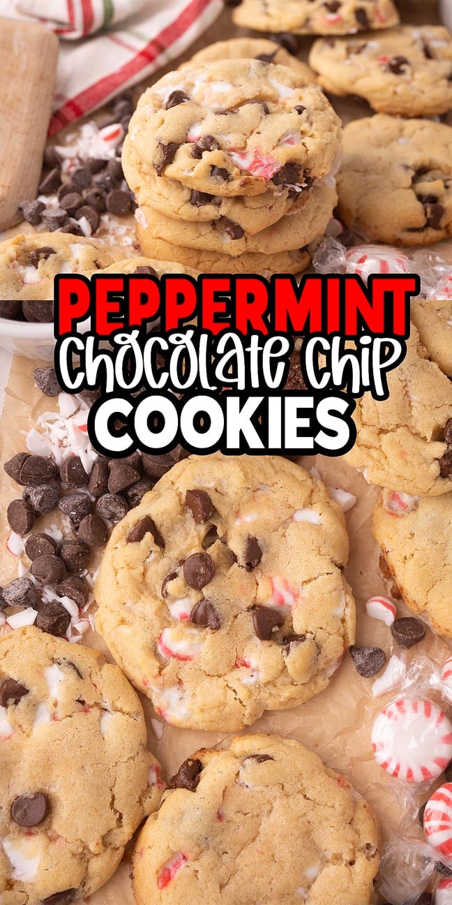 Peppermint Chocolate Chip Cookies surrounded by chocolate chips and peppermint candies rest on parchment paper, capturing the festive flavor and appearance of this classic treat.