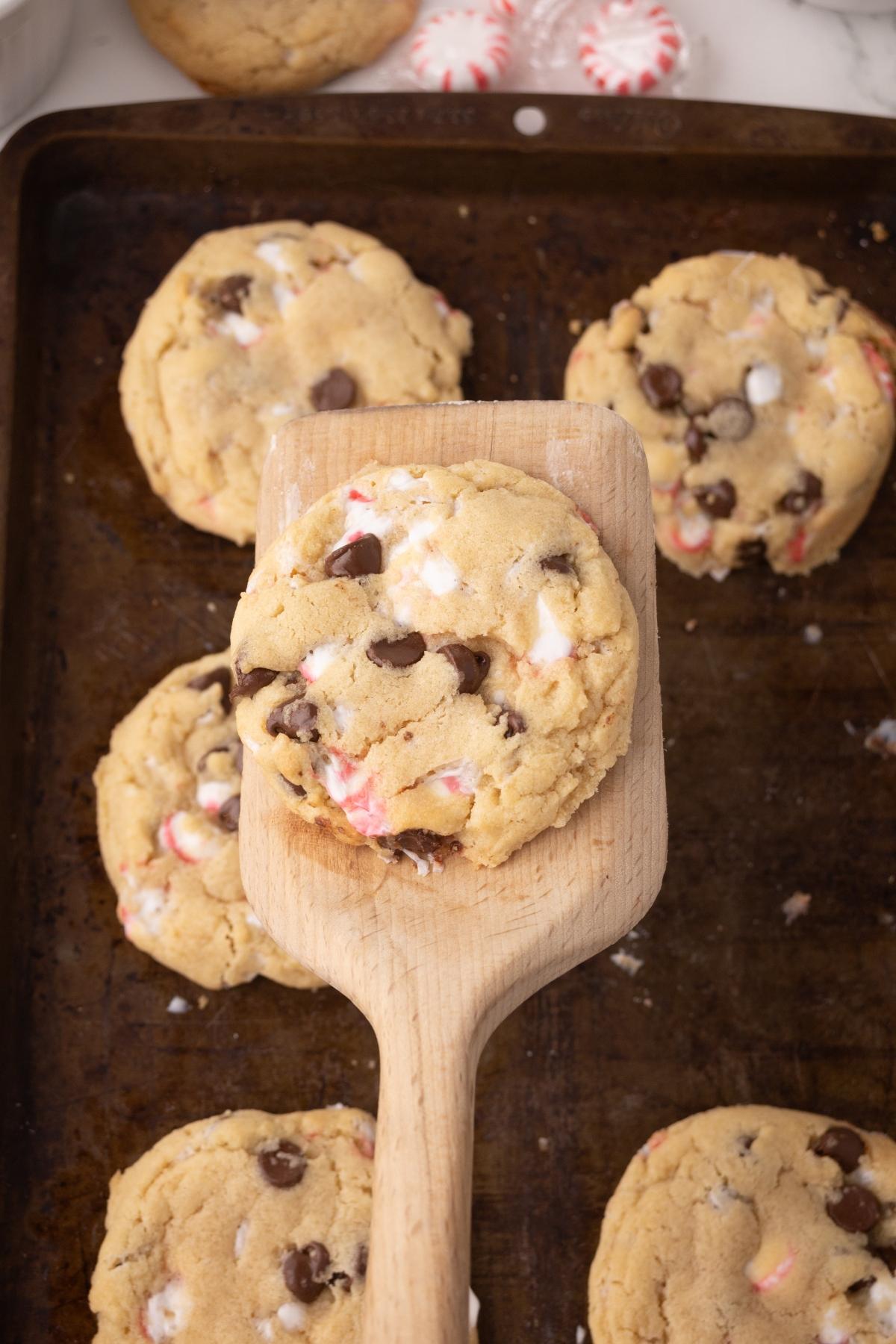 A wooden spatula holds a chocolate chip and peppermint cookie over a baking sheet with more cookies.