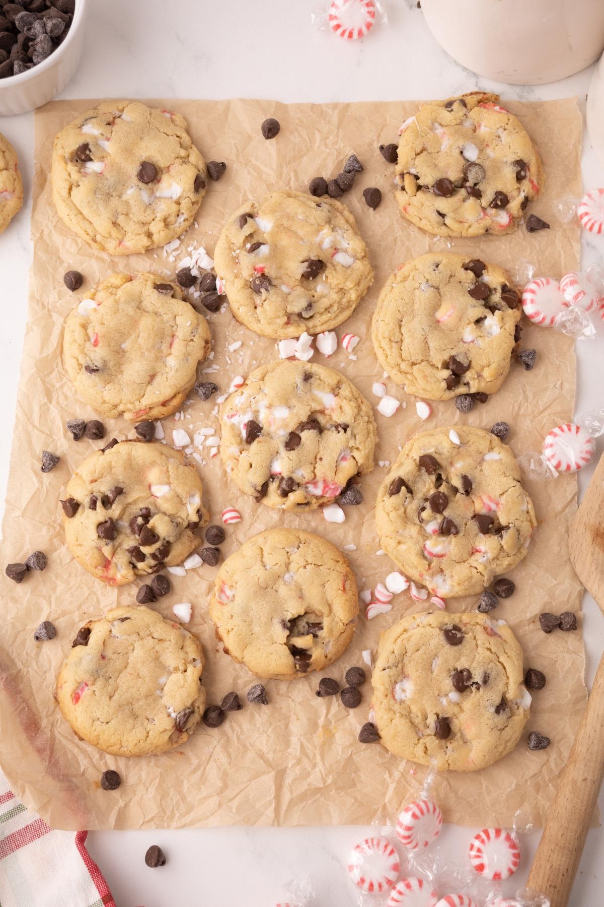 Twelve peppermint chocolate chip cookies with crushed peppermint on parchment paper, surrounded by chocolate chips and mints.