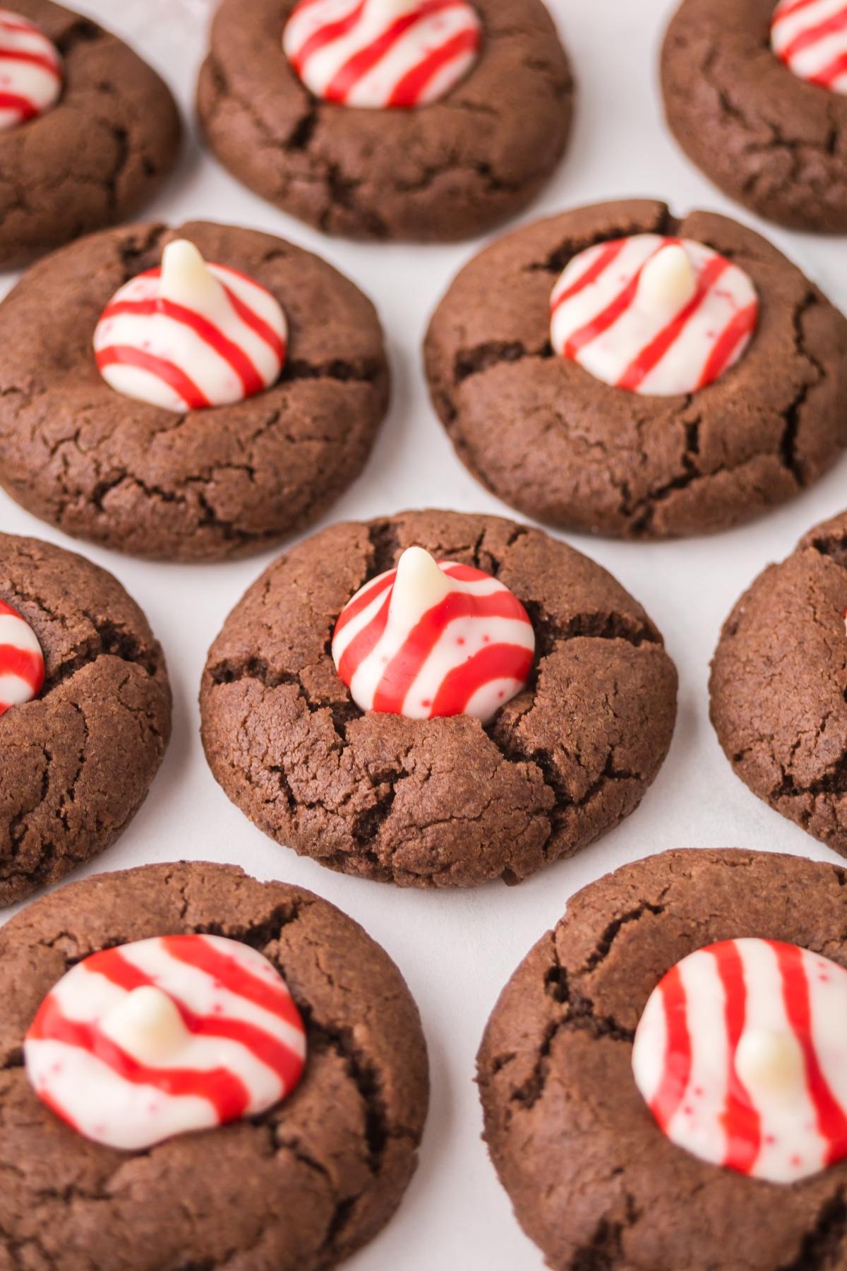 Chocolate Peppermint kiss cookies topped with red and white striped peppermint candies, arranged closely together.