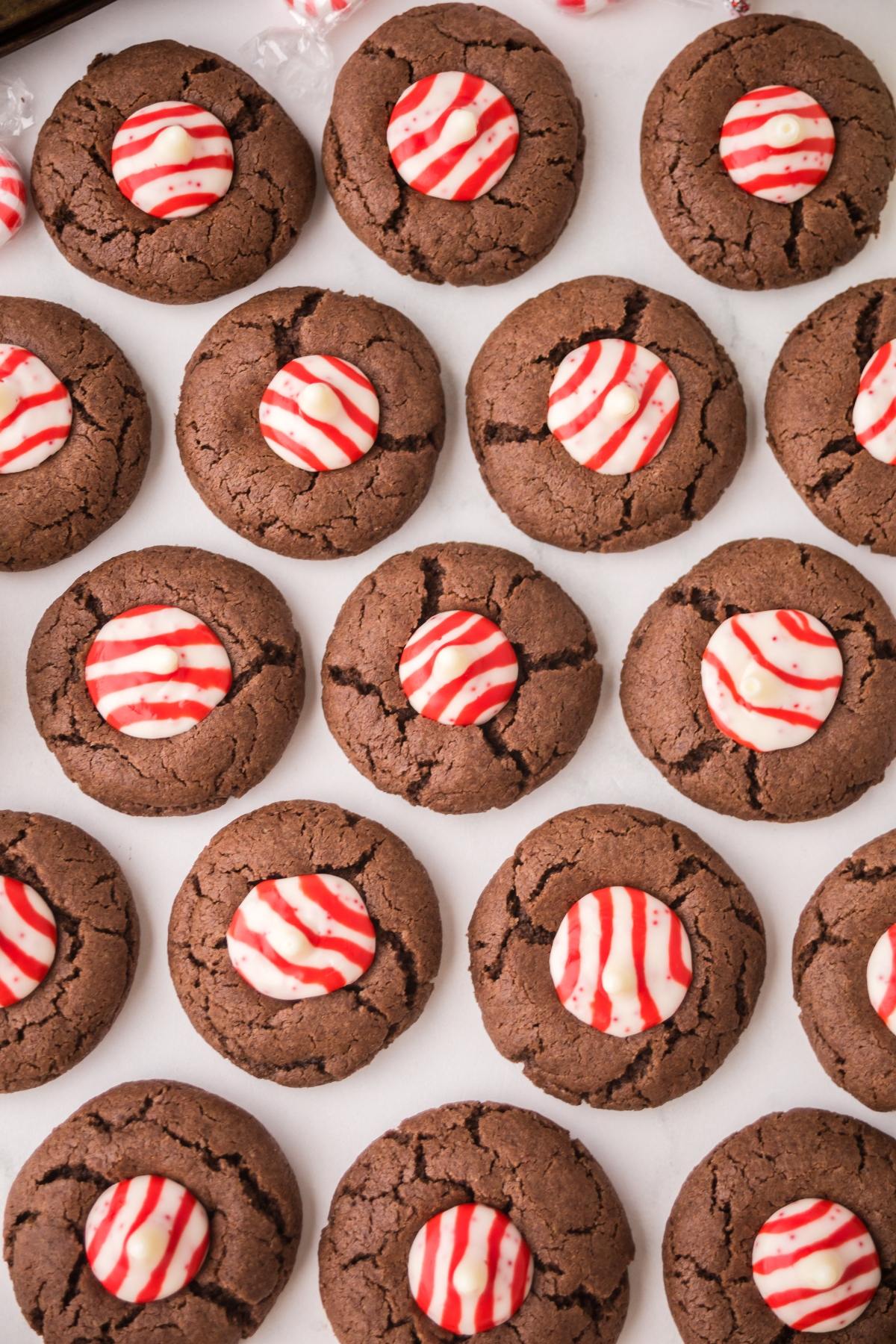Chocolate Peppermint kiss cookies topped with red and white striped peppermint candies, arranged neatly in rows.