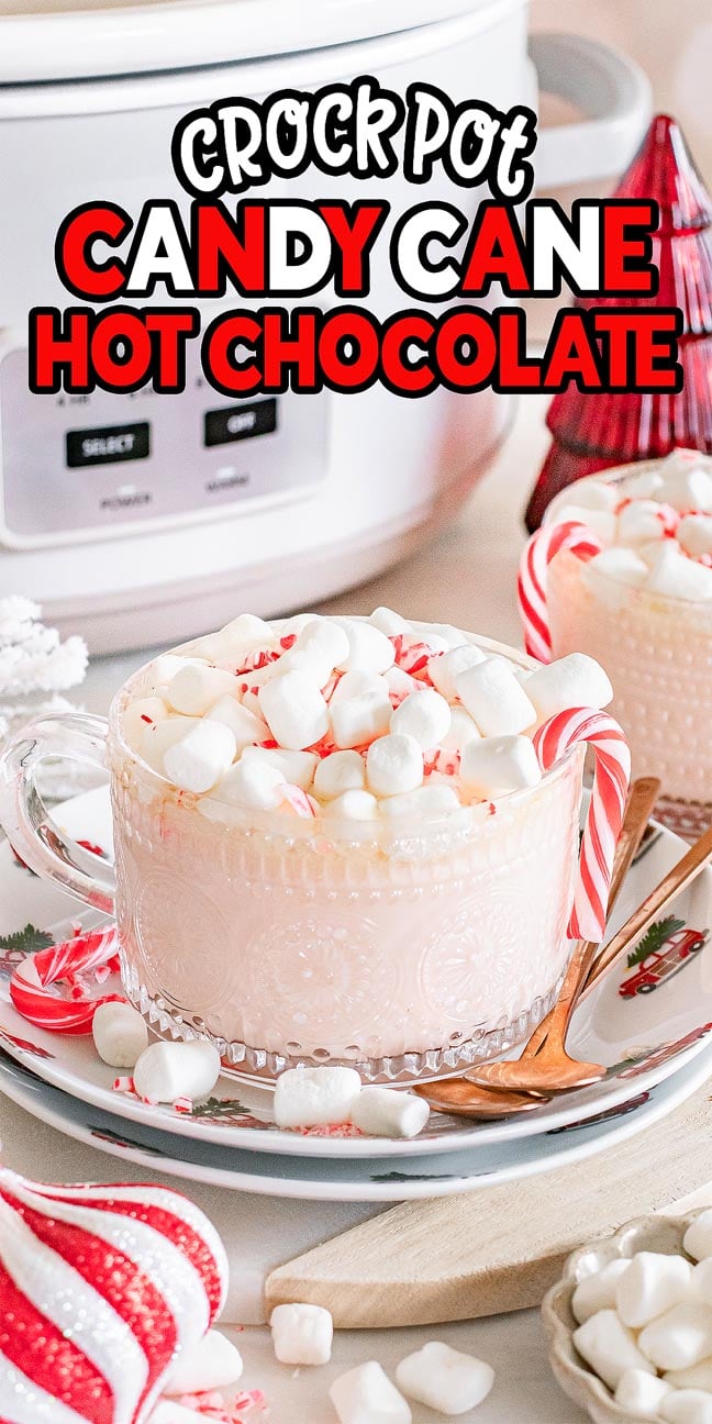 A glass mug of Slow Cooker Candy Cane Hot Chocolate with marshmallows sits in front of a crock pot and festive decorations.