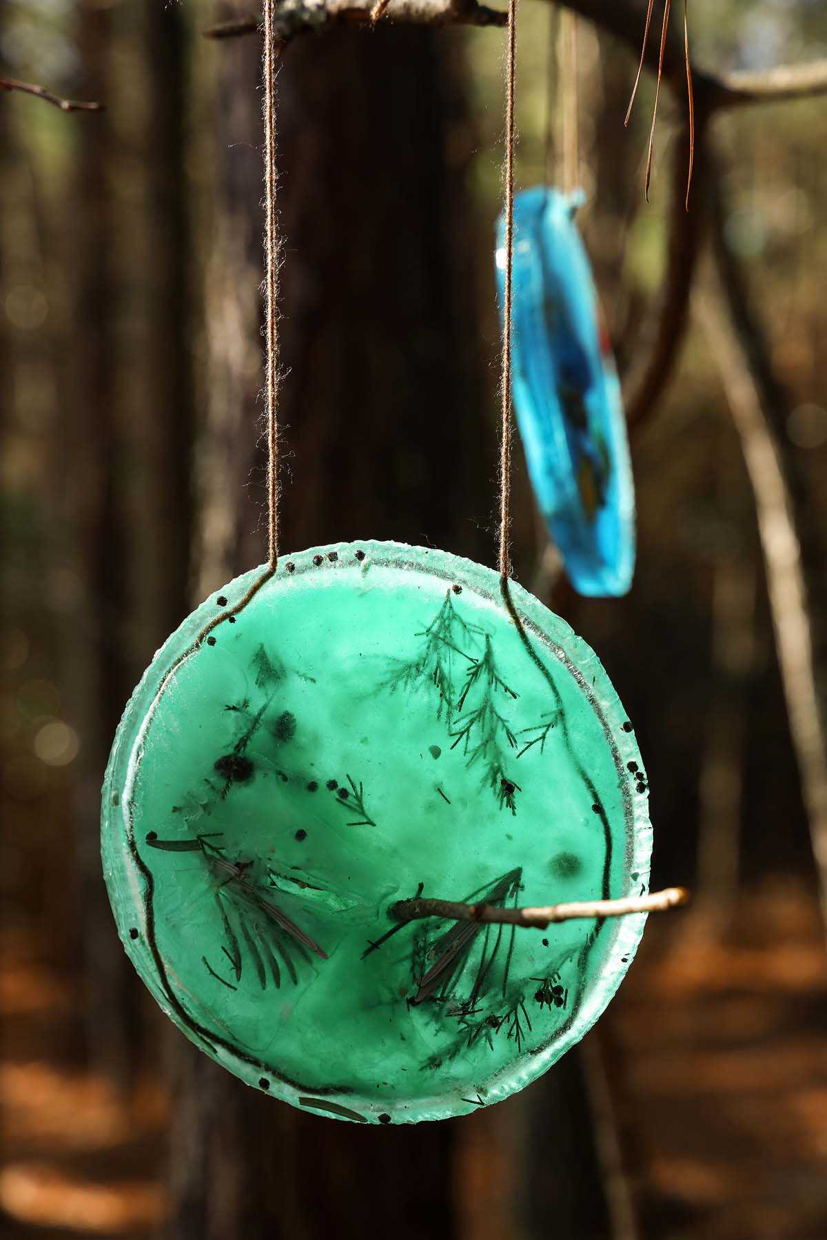 A green, circular DIY Ice Suncatcher with leaves inside hangs from a tree branch in a sunlit forest.