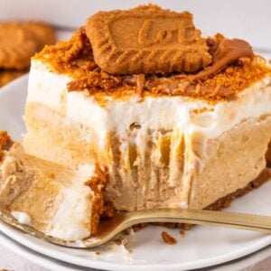 A slice of creamy cheesecake topped with Biscoff lush cookie crumbs and a whole cookie on a white plate with a fork.