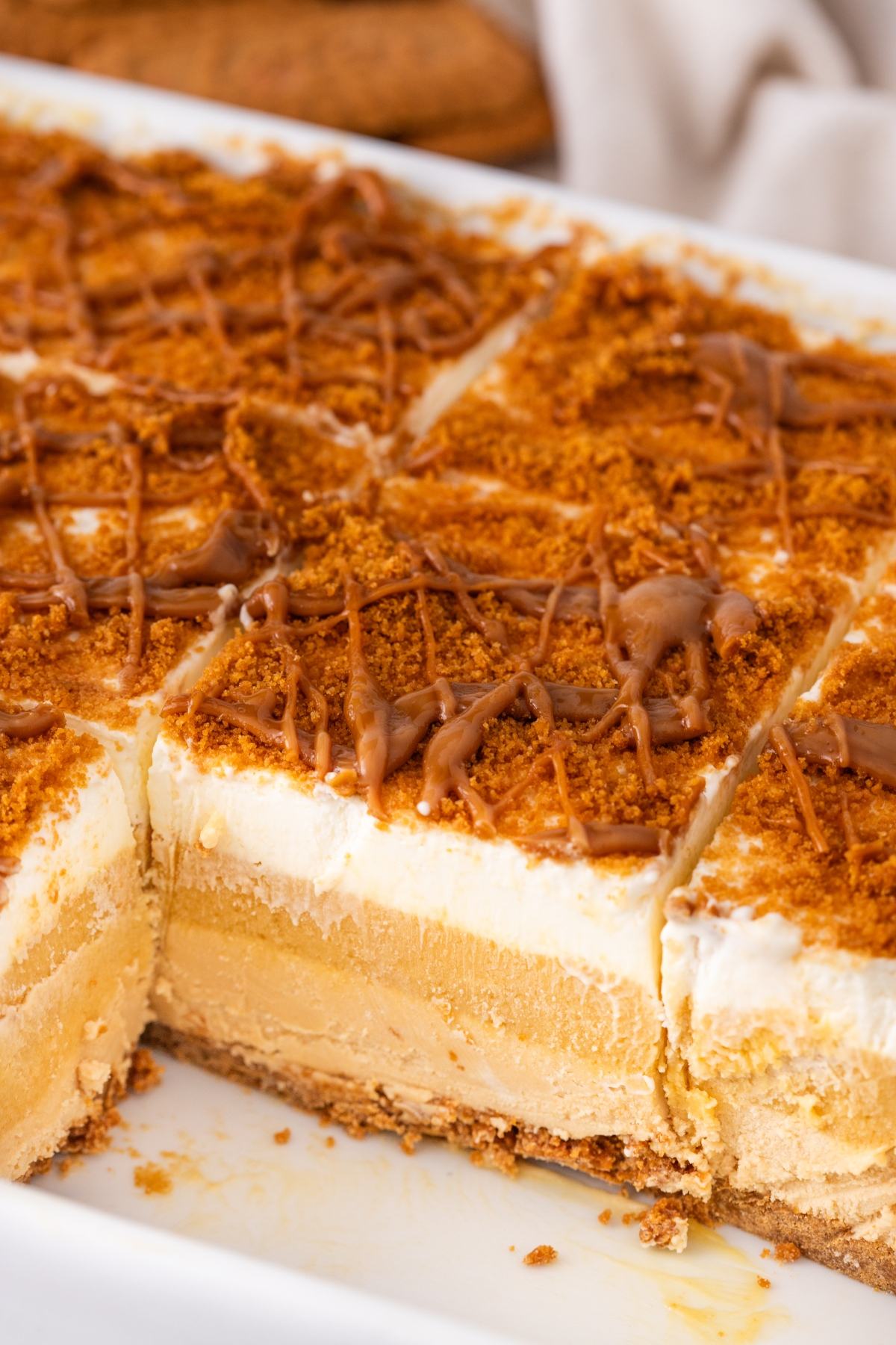 A close-up of sliced Biscoff ice cream bars with a crumbly topping and a creamy layered filling.