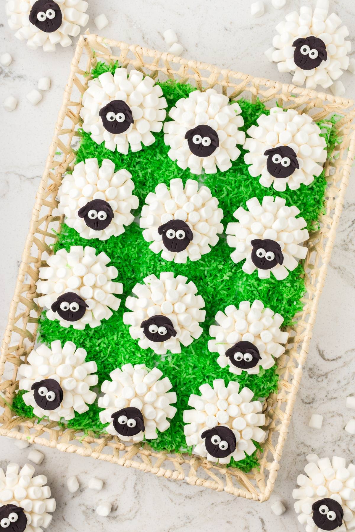 Cupcakes decorated as sheep with white marshmallows on green shredded coconut grass in a wicker tray.