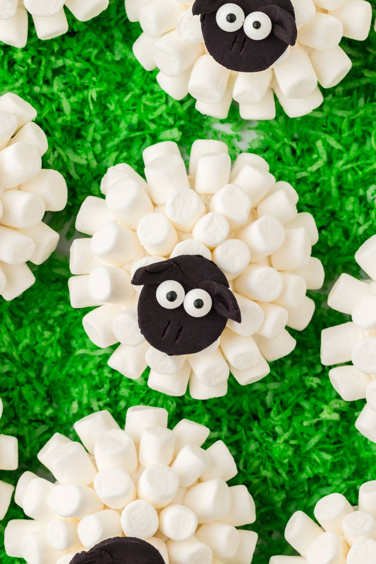 Sheep-shaped treats made of mini marshmallows and black icing faces on green shredded coconut grass.