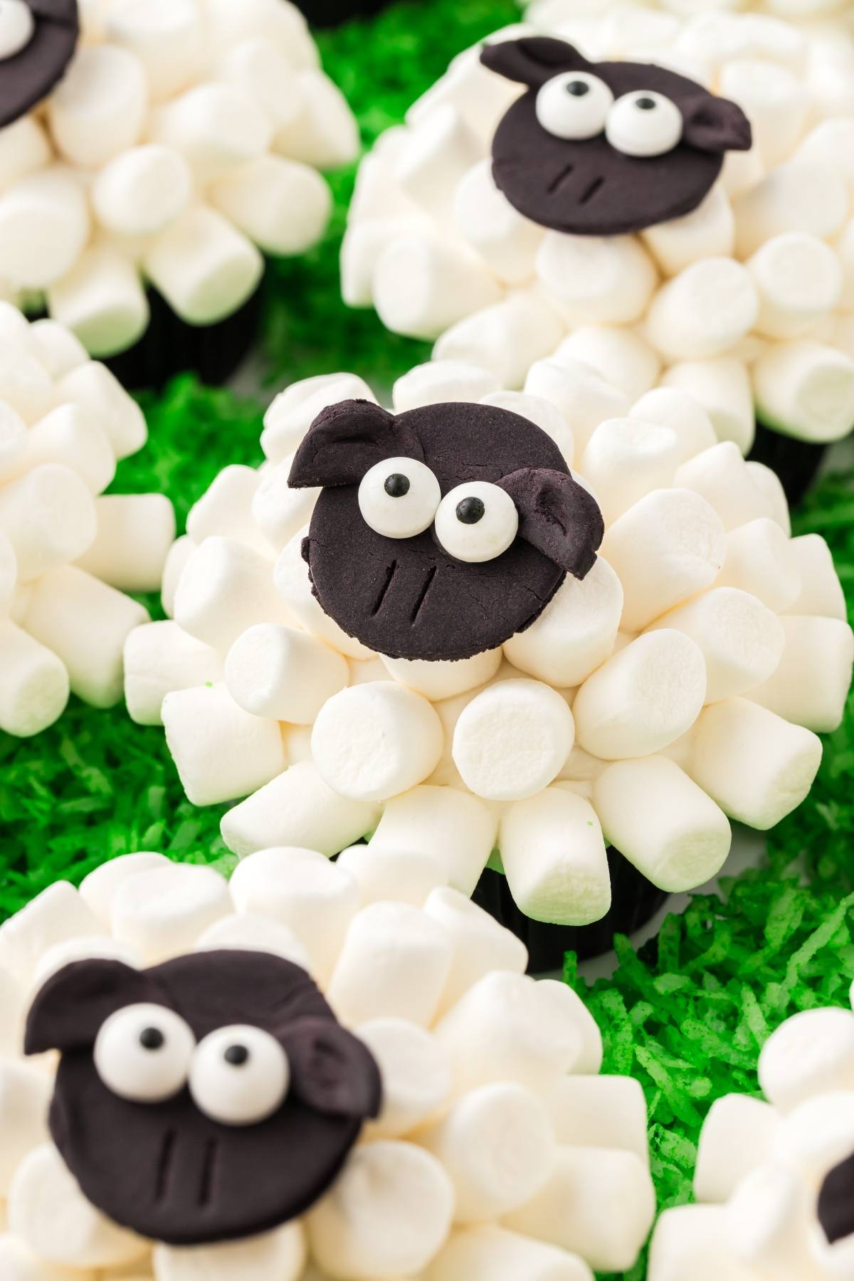 Cupcakes decorated as sheep with marshmallow bodies and black fondant faces on green shredded coconut grass.