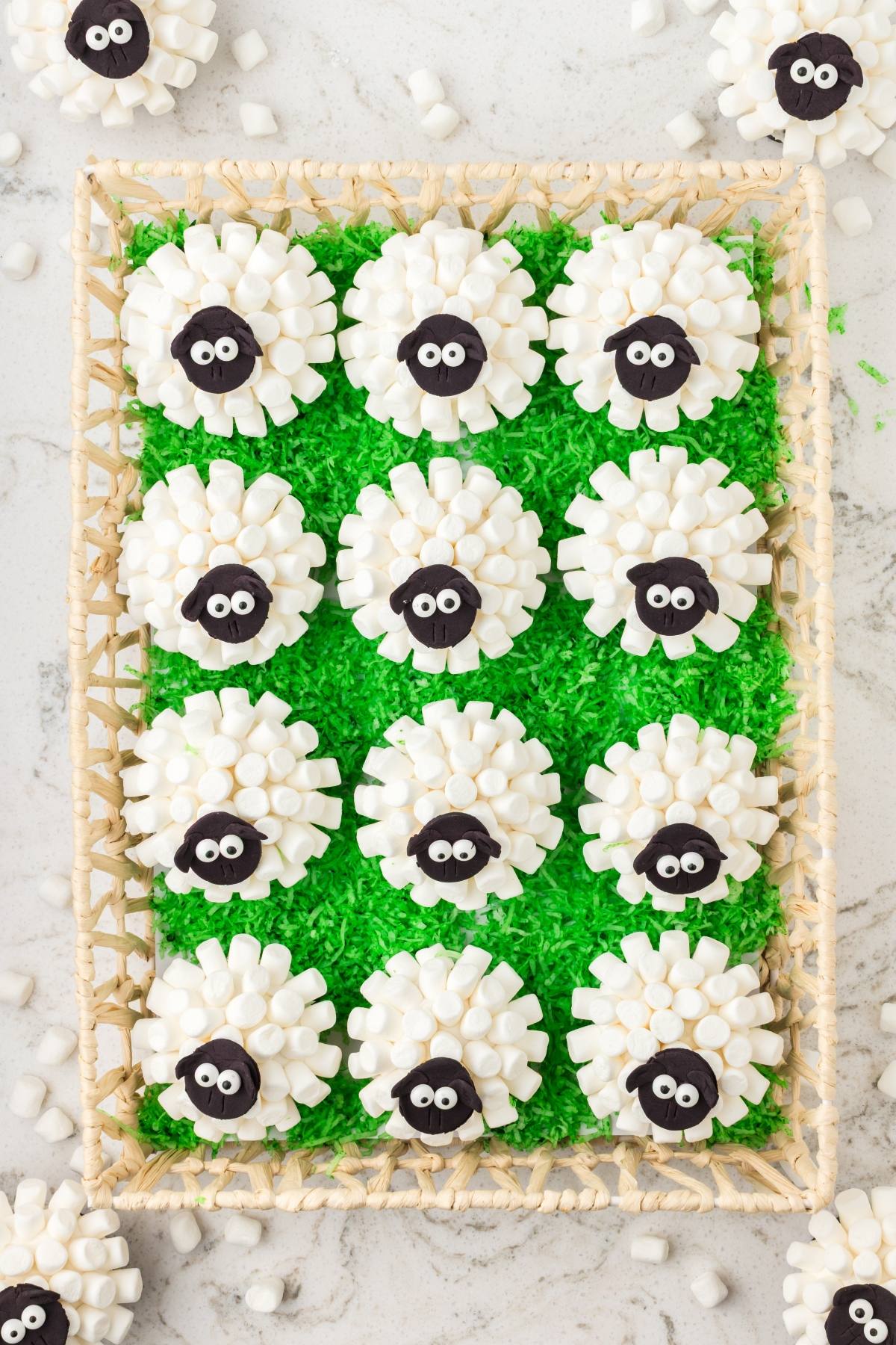 Twelve sheep-themed cupcakes with marshmallow "wool" on green shredded coconut grass, arranged in a tray.