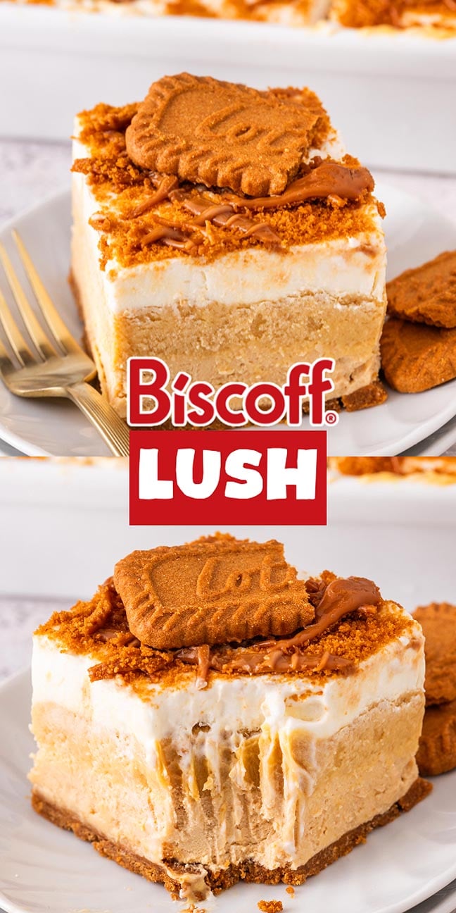 Square slice of Biscoff lush dessert topped with whipped cream, crushed cookies, and a whole Biscoff cookie.