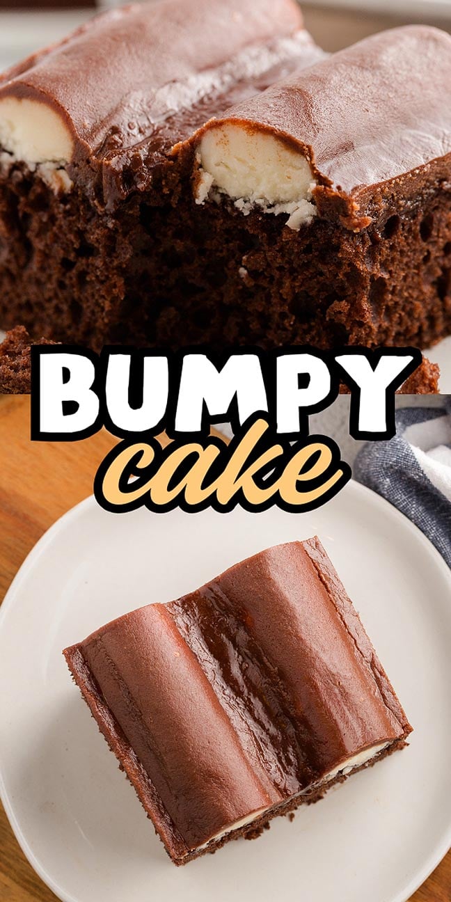 Classic bumpy cake featuring a chocolate cake with thick icing and two white cream bumps, shown whole and sliced on a plate, labeled "Bumpy Cake.