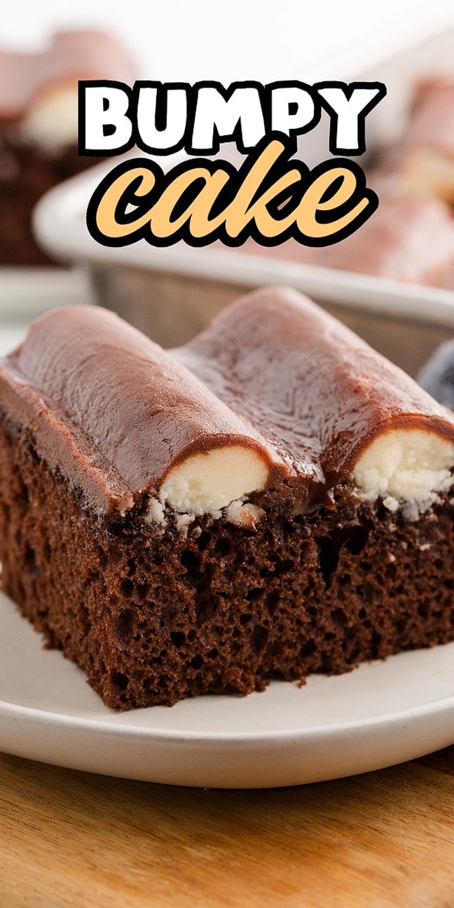 A delicious slice of bumpy cake with chocolate frosting and cream filling sits on a white plate.