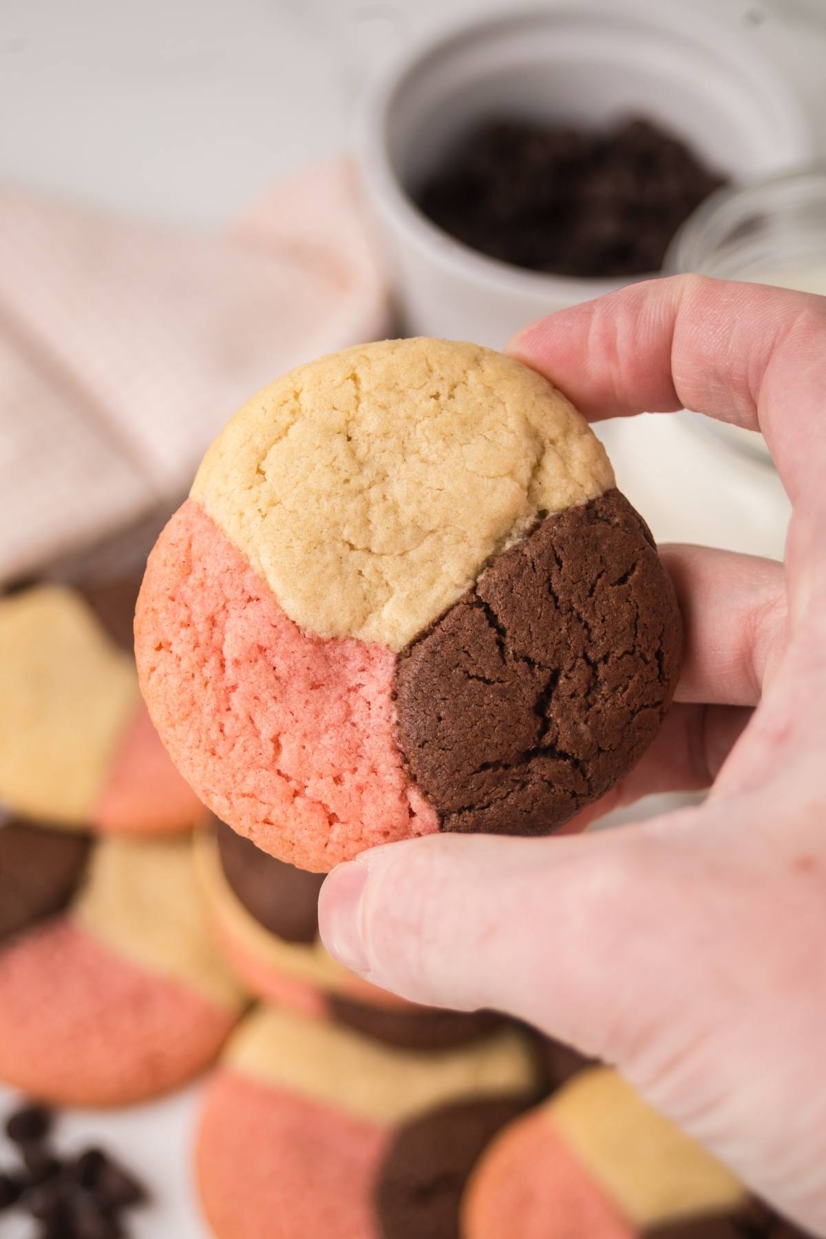 A hand holding a neapolitan cookie with three sections: vanilla, chocolate, and pink strawberry.