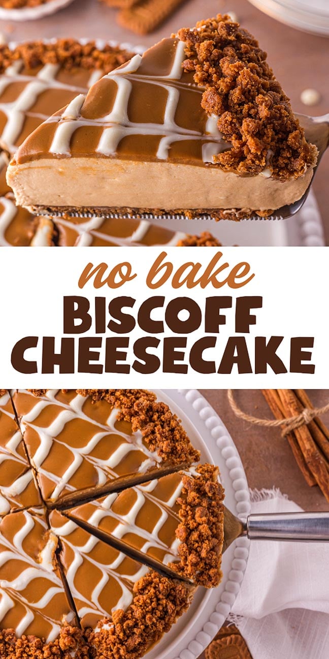 A decadent slice of no bake Biscoff cheesecake topped with crumbled cookies and white icing rests on a cake server, ready to be enjoyed.