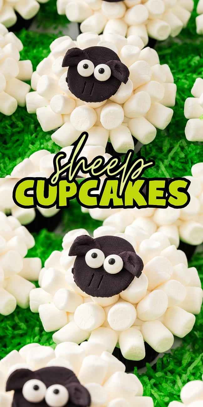 Sheep Cupcakes decorated with mini marshmallows and fondant to look like adorable sheep, displayed on green shredded paper.