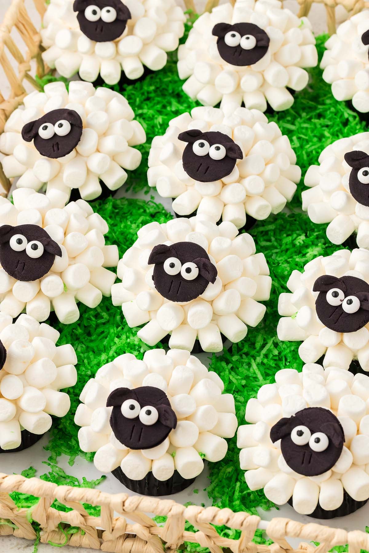 Sheep Cupcakes decorated with marshmallows and candy faces rest on a bed of green shredded coconut "grass.