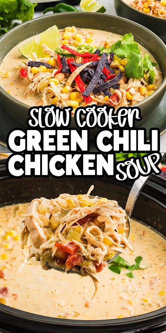 Bowl of Slow Cooker Green Chile Chicken Soup topped with tortilla strips, lime, and cilantro; ladle of soup nearby.