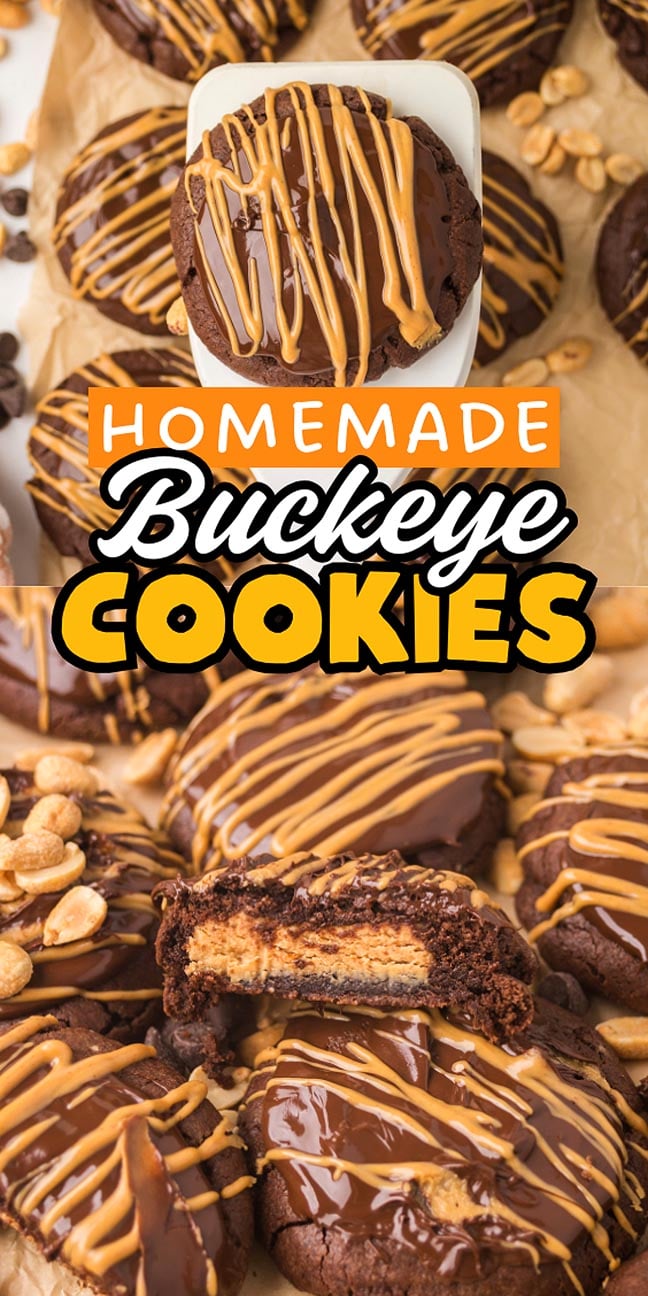 Homemade Buckeye Cookies: Chocolate cookies drizzled with peanut butter, each labeled and delicious, with one Buckeye Cookie sliced open to reveal its rich center.
