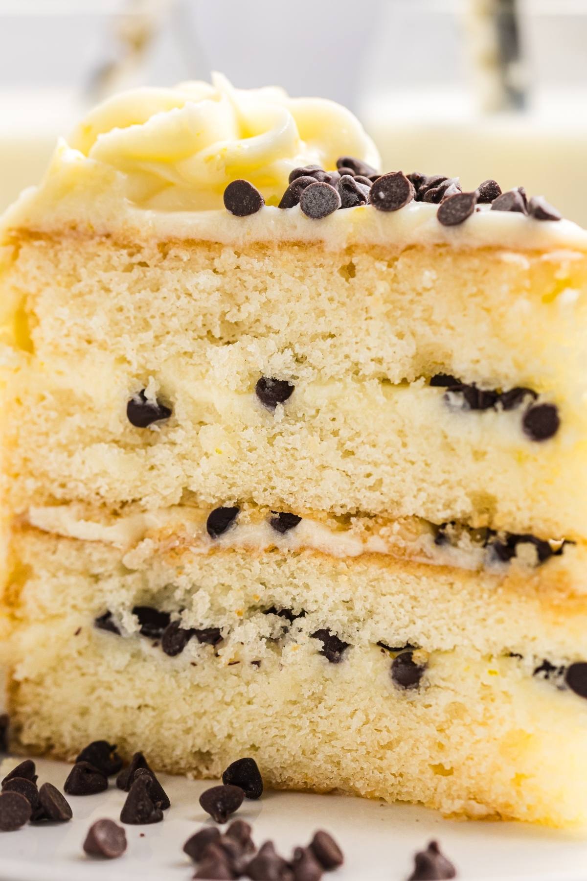 A slice of vanilla layer  Cannoli cake with chocolate chips and creamy frosting, garnished with extra chocolate chips.