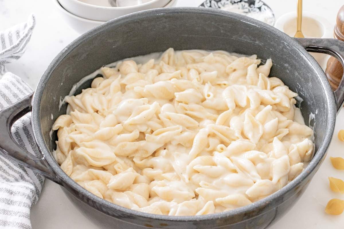 A pot of creamy shell pasta with white cheese sauce on a white countertop.