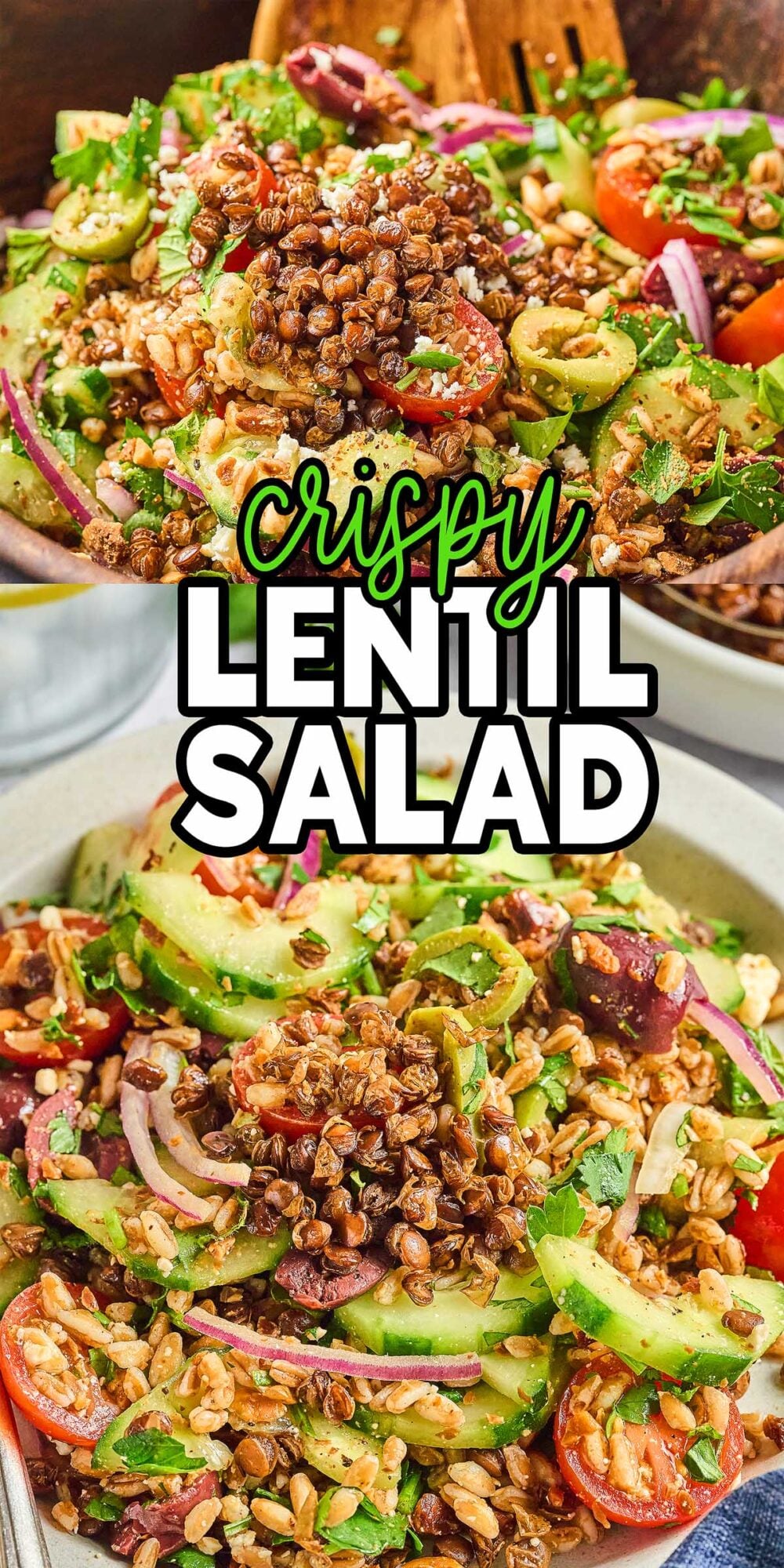 A fresh crispy lentil salad with cucumbers, tomatoes, red onions, olives, and chopped herbs served in a bowl.