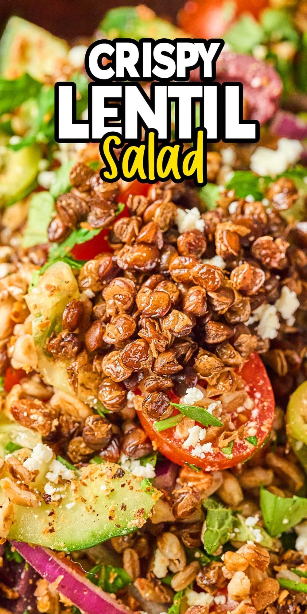 Close-up of a vibrant crispy lentil salad topped with tomatoes, cucumbers, fresh herbs, and creamy feta cheese.