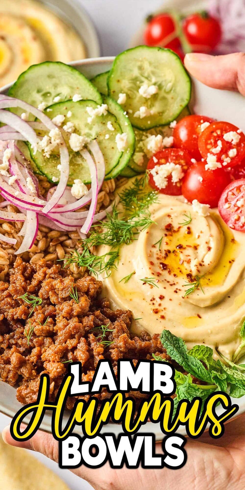 Colorful bowl with hummus, lamb, cucumber, tomatoes, red onion, feta, herbs—perfect for lamb hummus bowls. Text: "Lamb Hummus Bowls.
