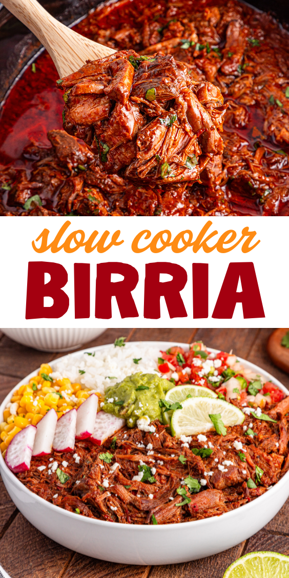 Shredded slow cooker birria in sauce on a spoon above a colorful bowl filled with birria, rice, corn, radish, guacamole, and lime.