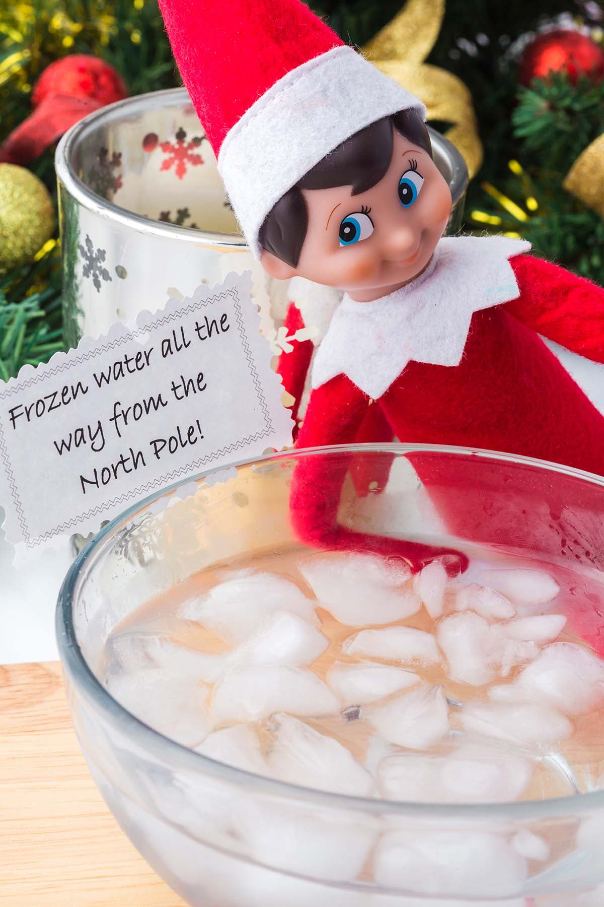 An Elf on the Shelf doll sits by a bowl of ice water with a note reading “Frozen water all the way from the North Pole!”.