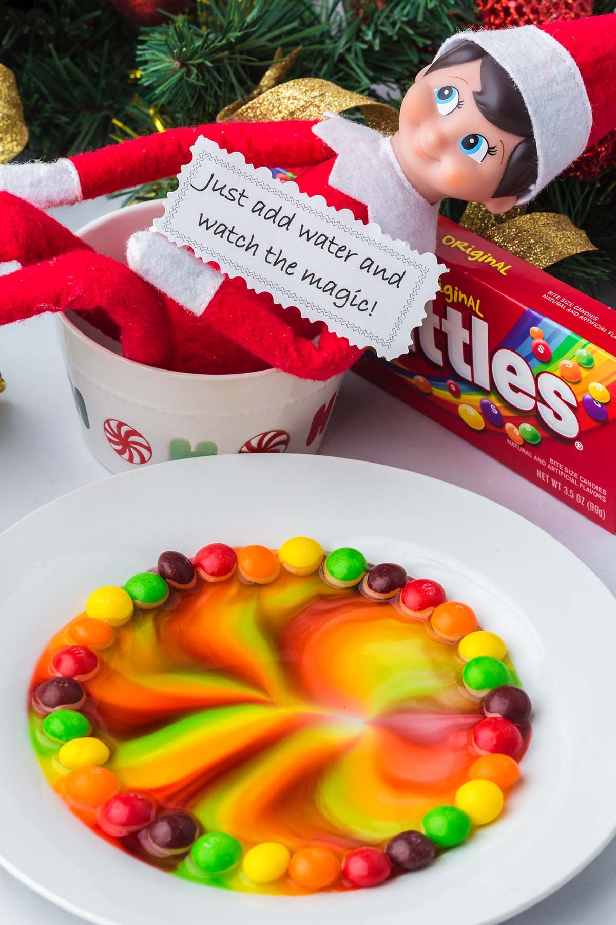 An elf doll holding a sign reading “Just add water and watch the magic!” over a plate of Skittles in water.